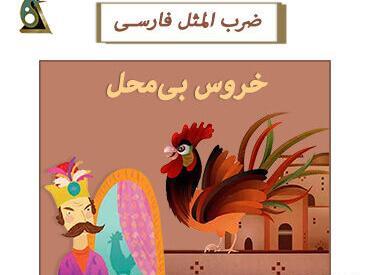 عکس ضرب المثل خروس بی محل
