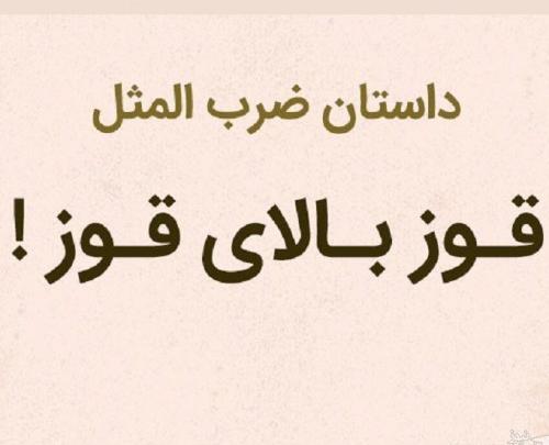 عکس ضرب المثل خروس بی محل