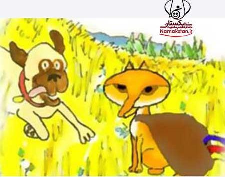 عکس ضرب المثل خروس بی محل