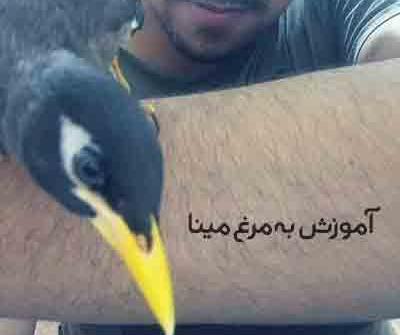 عکس سلام مینا اومد