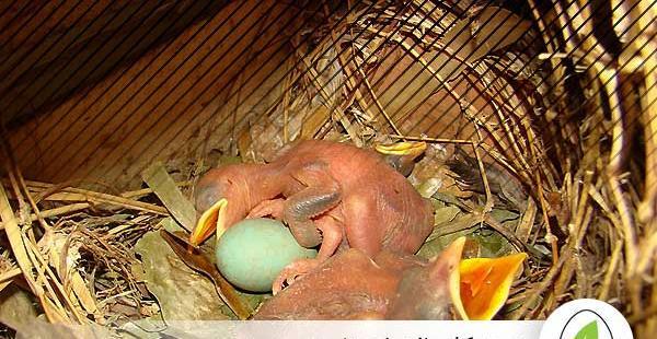 عکس سلام مینا اومد
