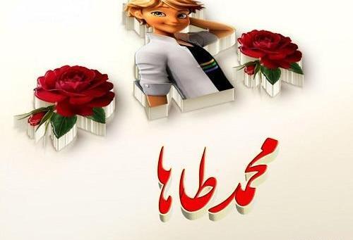 عکس نوشته طاها دوست دارم
