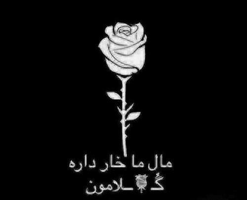 عکس مشکی تنها