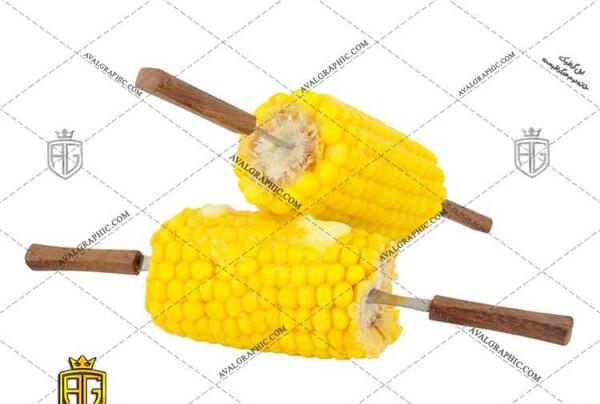 عکس ذرت کوچک