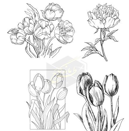عکس گل لاله برای طراحی