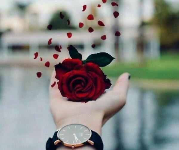 عکس پروفایل طبیعت فانتزی عاشقانه