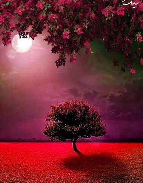 عاشقانه منظره عکس طبیعت زیبا