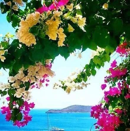 عاشقانه منظره عکس طبیعت زیبا