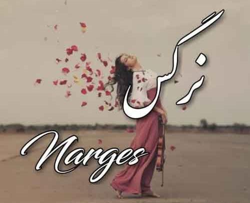 عکس نوشته اسم نرگس برای پروفایل