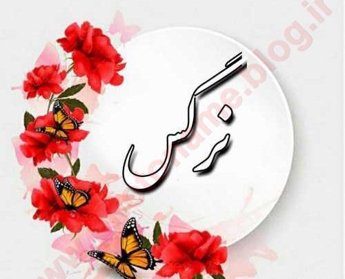 عکس نوشته اسم نرگس برای پروفایل