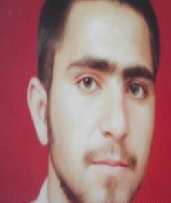 عکس محسن شریفی