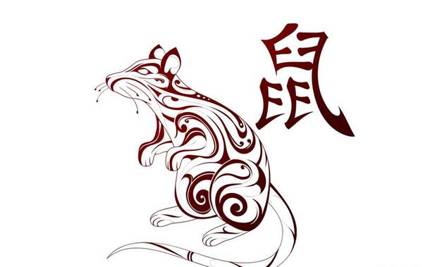 عکس حیوانات طراحی شده