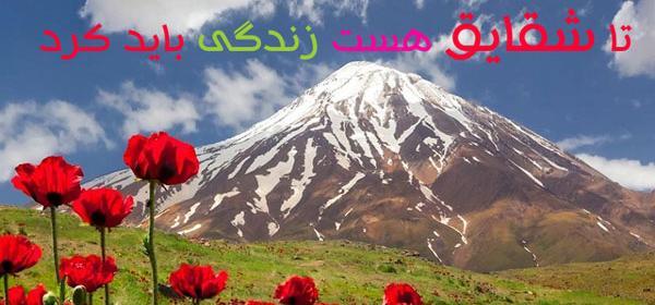 عکس گل شقایق با متن