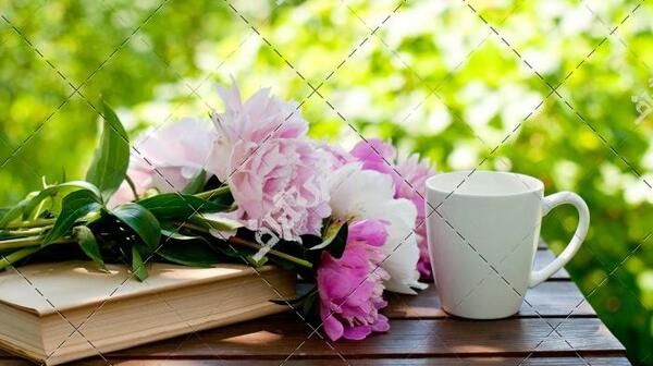 عکس قهوه و گل