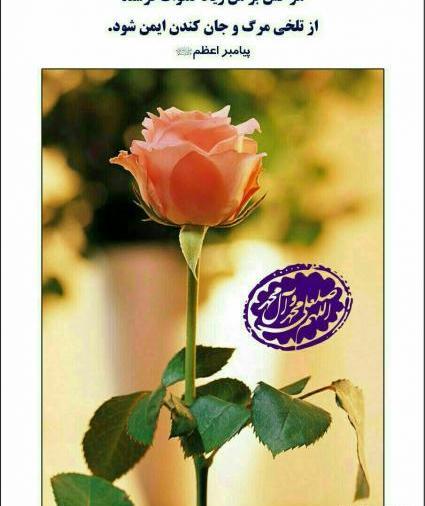 عکس صلوات بر محمد
