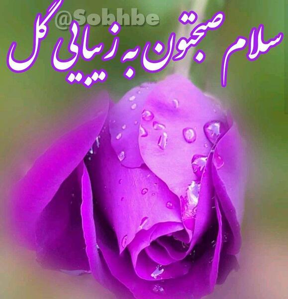 عکس تصاویر صبح بخیر گفتن زیبا