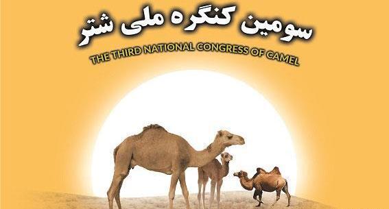 عکس فضله شتر