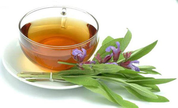 عکس چای مریم گلی
