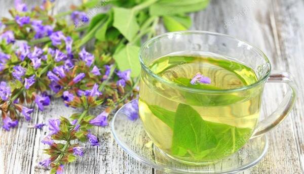 عکس چای مریم گلی