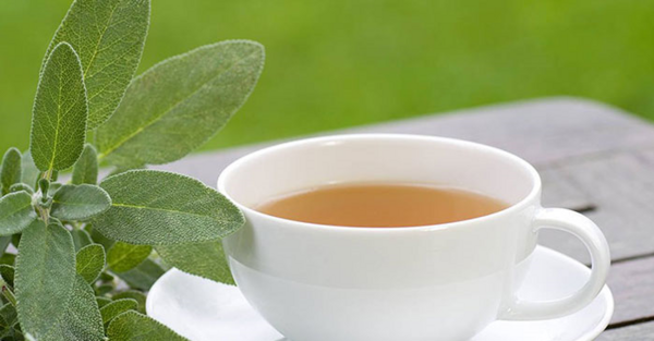 عکس چای مریم گلی