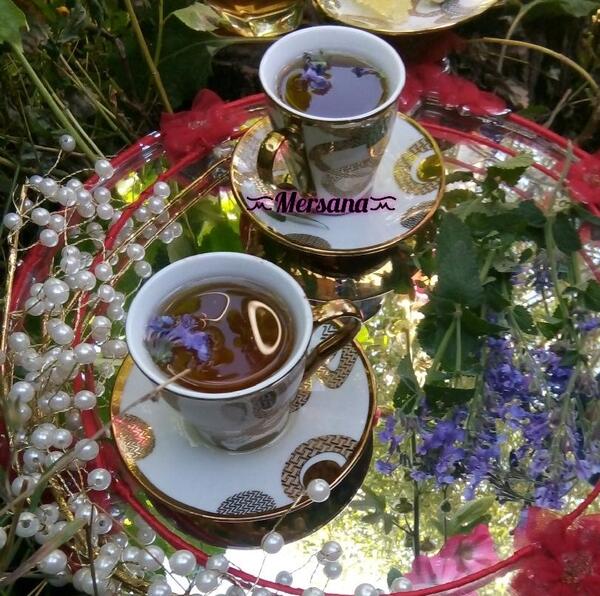 عکس چای مریم گلی