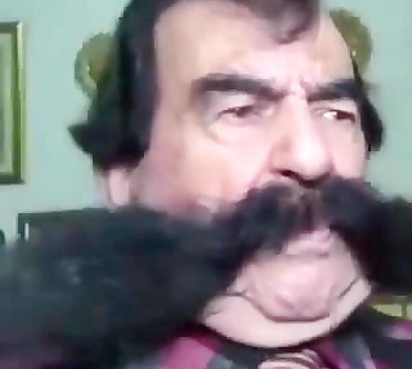 عکس محمد قلی سیبیلی