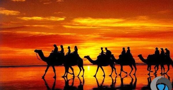 آموزش عکس ضد نور