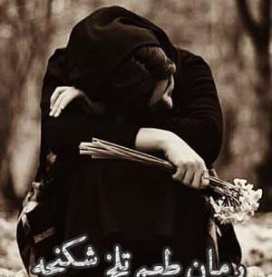 عکس پریناز و کیارش در رمان عاشق شدیم