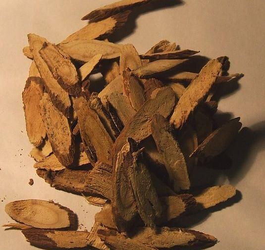 عکس بوته ی شیرین بیان