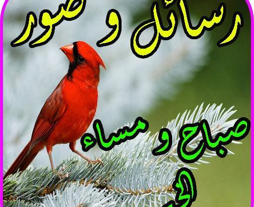 عکس نوشته صباح الخیر جدید