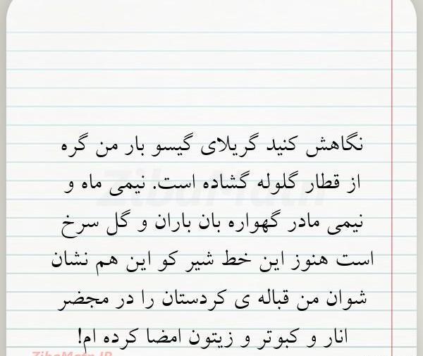 عکس نوشته ی گیسو