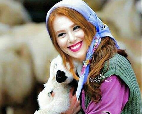 دانلود عکس الچین سانگو