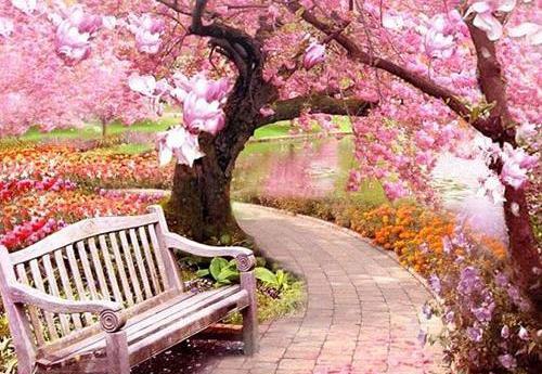 عکس زیبای پروفایل بهاری