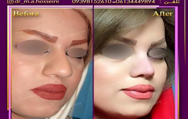 عکس دکتر حسنا حسینی