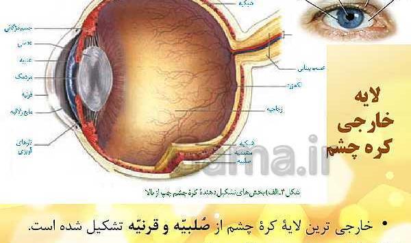 عکس چشم یازدهم