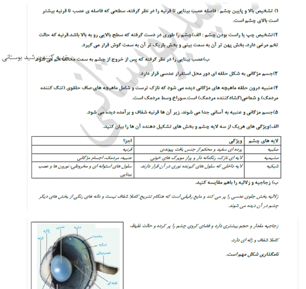 عکس چشم یازدهم