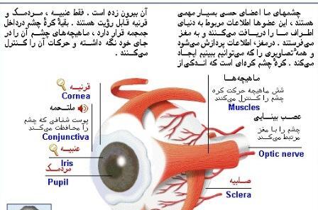عکس چشم یازدهم