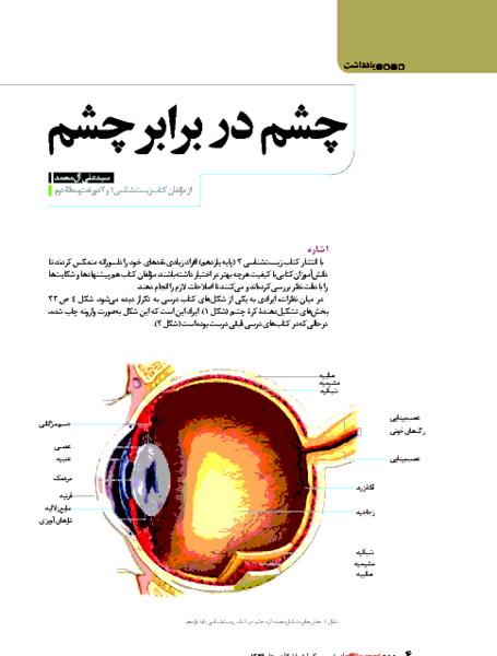 عکس چشم یازدهم