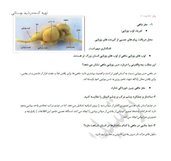 عکس چشم یازدهم