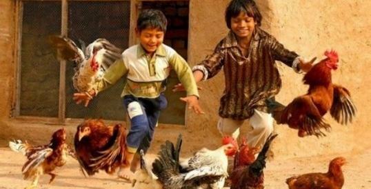 عکس نوشته مگر خواب اجل شیرین کند