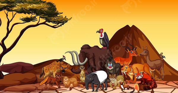 عکس حیوانات صحرایی