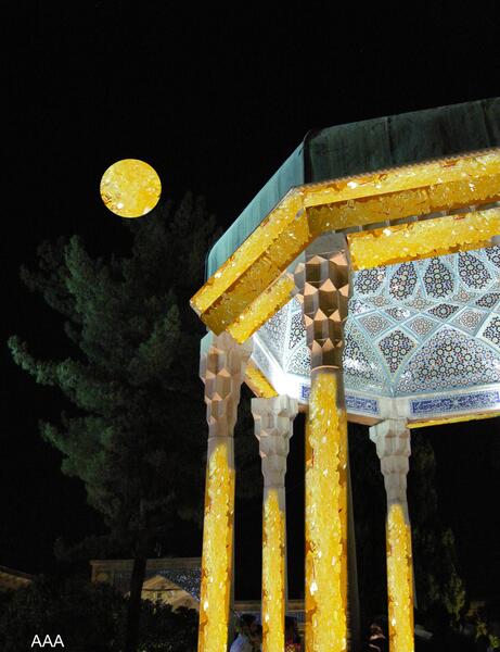 عکس حافظ و شاخه نبات