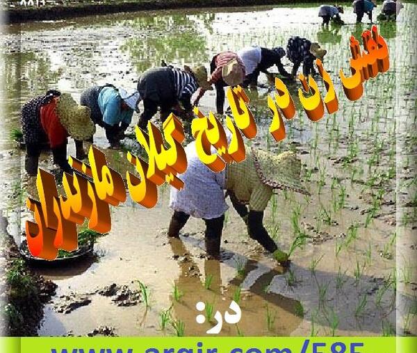 عکس دکتر حدیث گیلانی