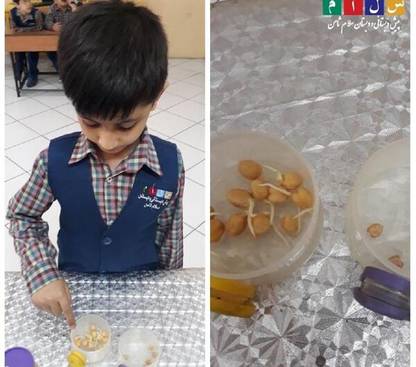 عکس پوریا رستمی