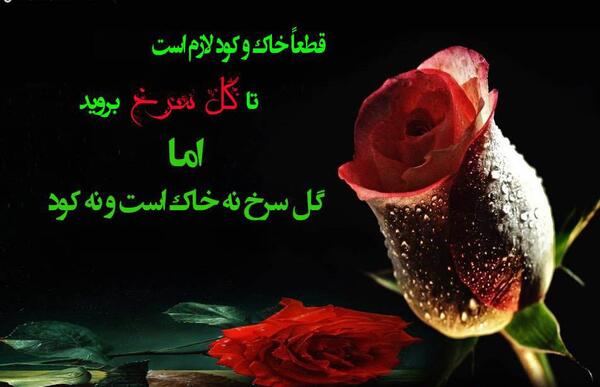 عکس نوشته زیبای گلها