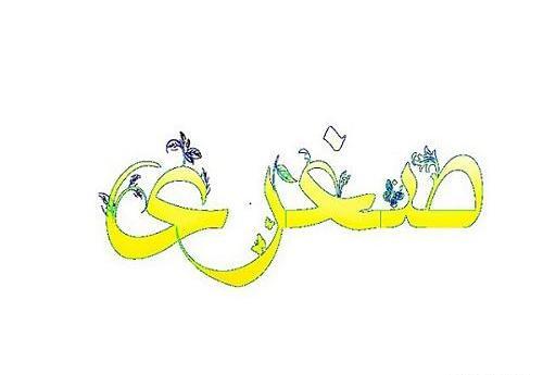 عکس تبریک تولد صغری