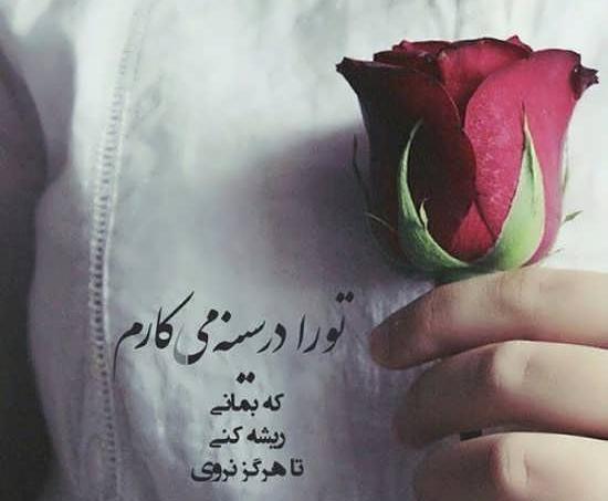 عکس نوشته دوست دارم جوادم