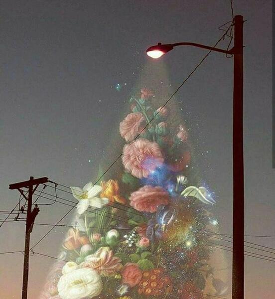 عکس خداگراف