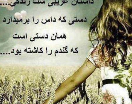 عکس نوشته ی روزگار غریبیست نازنین