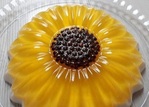 عکس ژله آفتابگردان